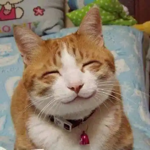 你笑起来真好看