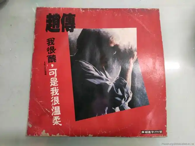 赵传-我很丑可是我很温柔!