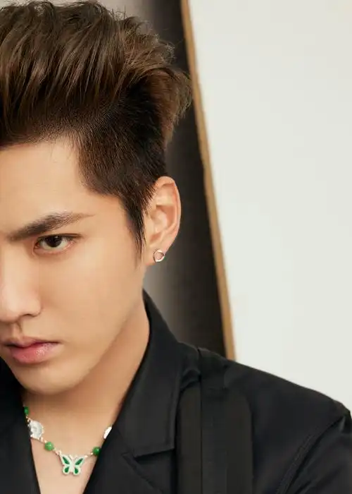 吴亦凡背头黑色系帅气写真图片