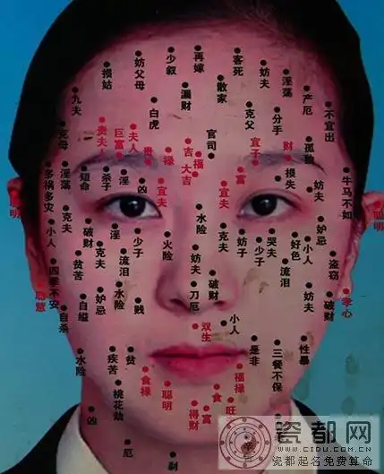 面部痣相图,长痣面相图-瓷都网