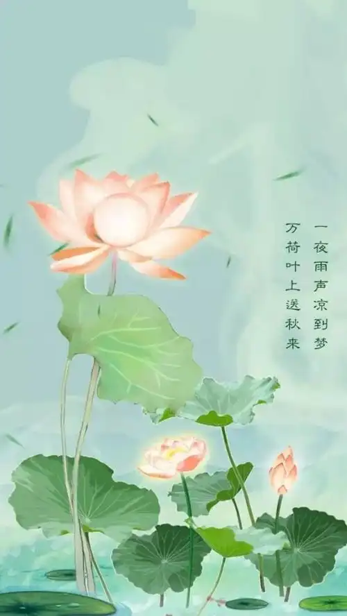 手机壁纸富贵有余吉祥如意