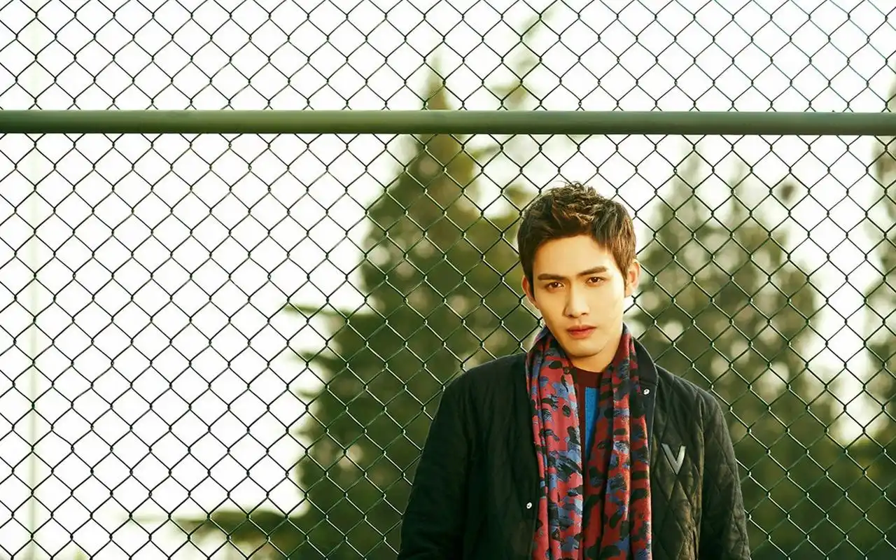 张彬彬帅气写真桌面壁纸