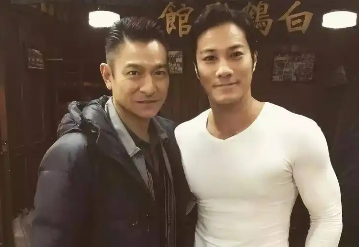 和刘德华,古天乐,梁家辉等人参演的《使徒行者》《拆弹专家》《追龙Ⅱ