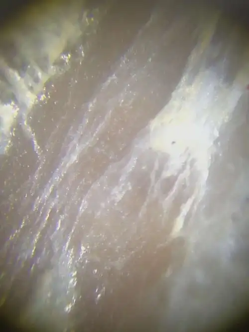 灰皮在显微镜下可见坚实,玉浆特征.