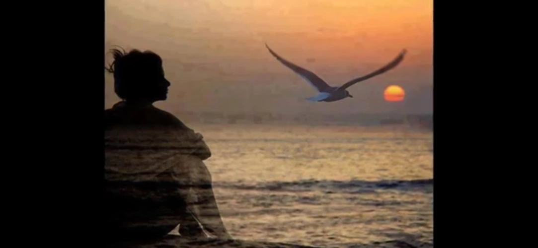 徘徊在孤单中的坚强!