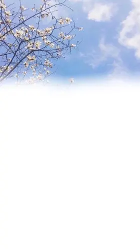 qq 名片背景/空间背景/渐变/全屏壁纸 - 堆糖,美图壁纸兴趣社区