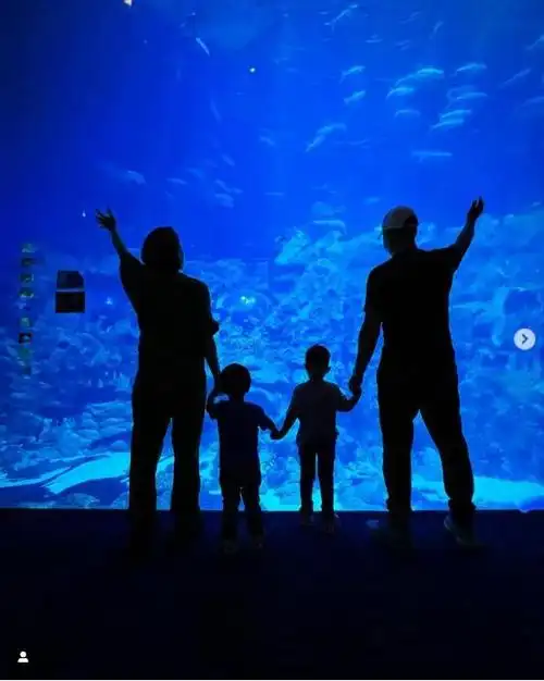 胡杏儿带儿子去海洋馆,四口之家背影照温馨,奕霆仔钻龟壳超萌