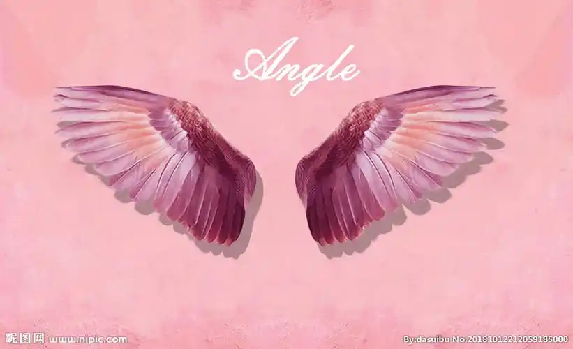 北欧ins羽毛翅膀网红店墙纸服设计图__其他_动漫动画