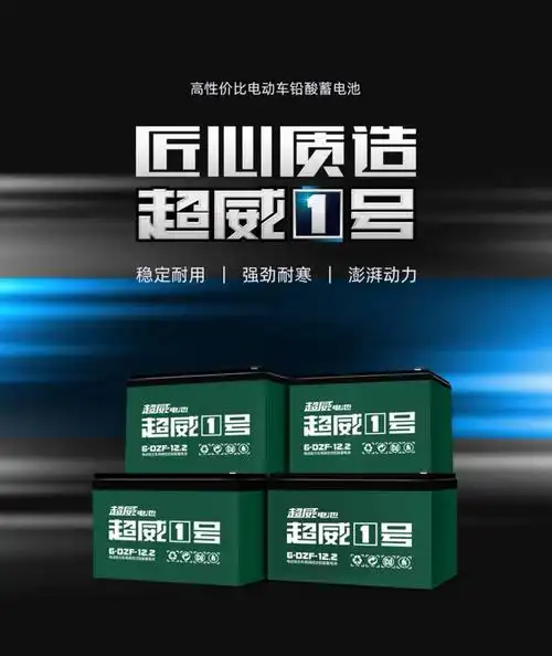 电池48v12ah4只装经典动力简易型两轮电动车电瓶电动车电池