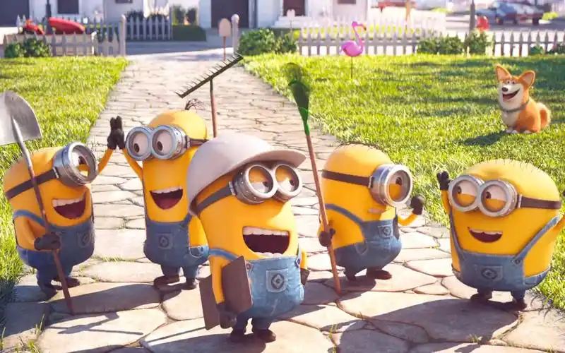 雏ji妓宁小小全文免费阅读