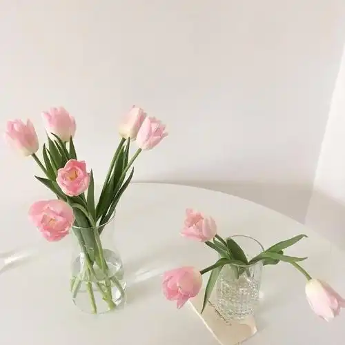 朋友圈背景图##文案