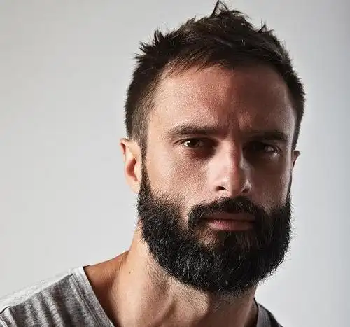 男人蓄胡子也许很酷,但也很脏,科学家发现狗狗的毛都比它干净