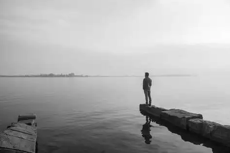 山水有意还故情风月无情寄客心