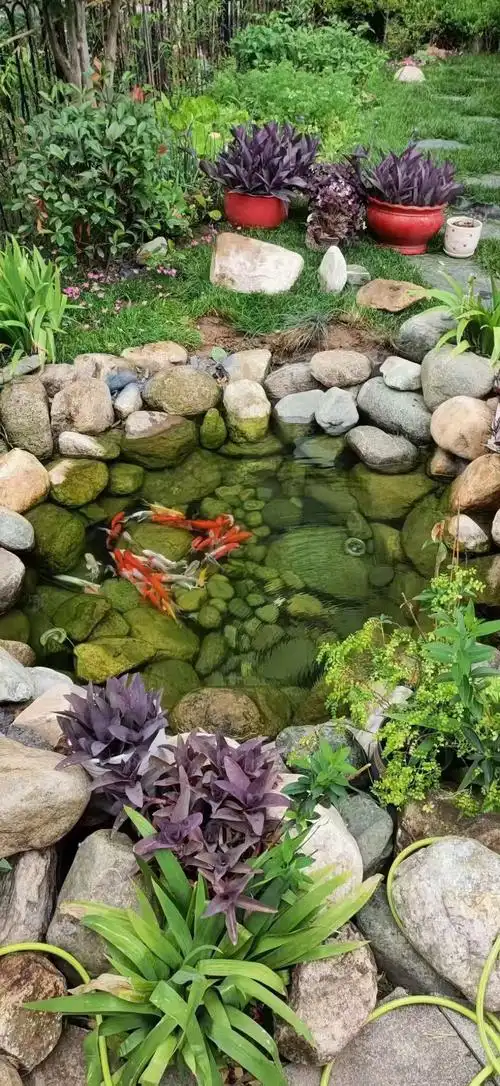 关于毕节庭院水池的小常识