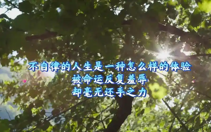 关于自律的励志句子