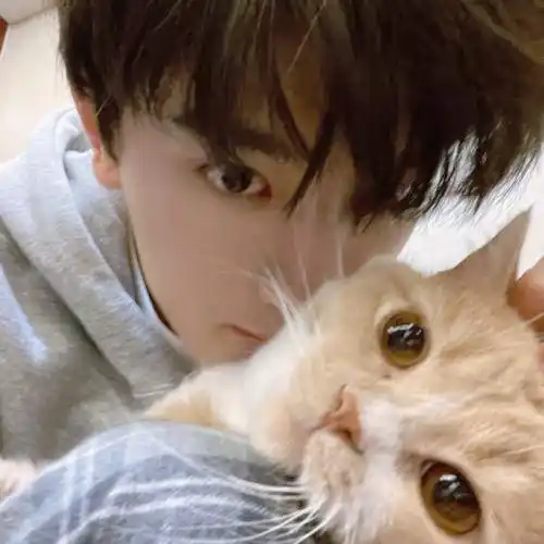 好看男生头像真人头像图片让你心动的男头