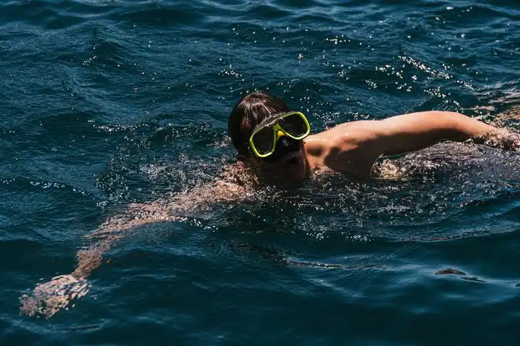 游泳可以锻炼到全身的肌肉,包括游泳的照片游泳图片 壁纸游泳 图片 有