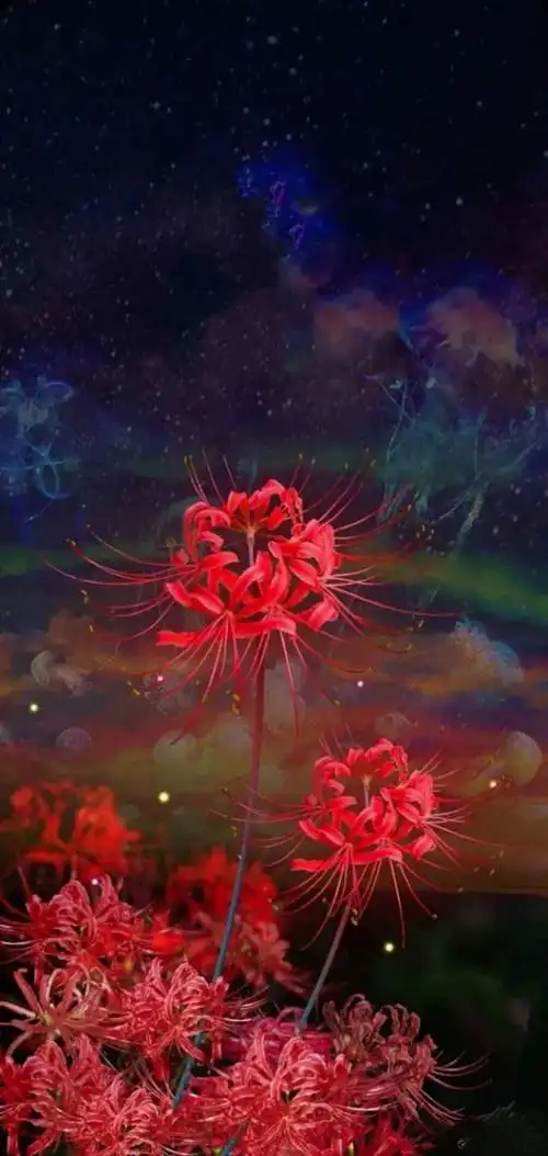 忘川河畔的彼岸花-康宗宪文学选刊-话本小说网