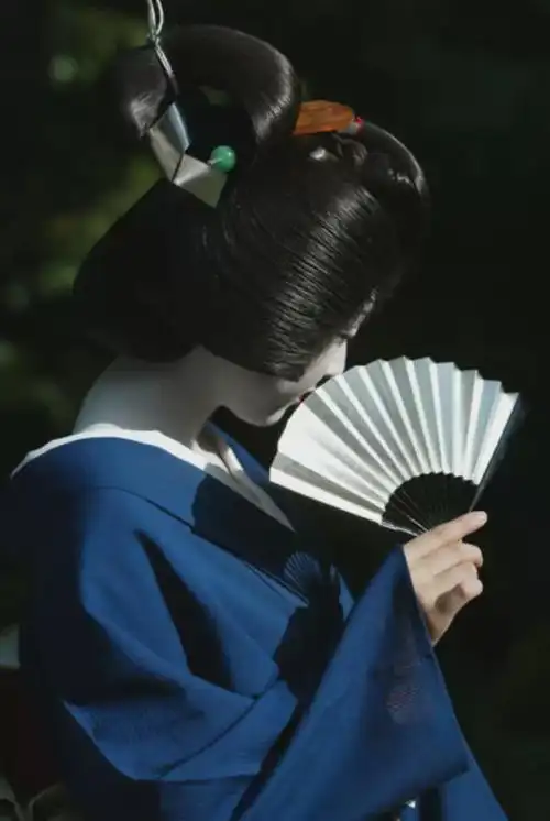 你不知道的日本艺妓文化|花魁|舞妓_网易订阅