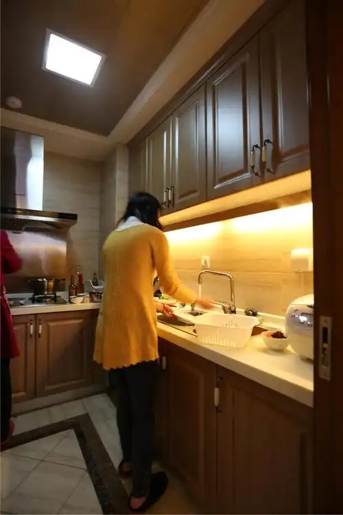 欧式橱柜厨房猜猜谁在做饭呢效果图