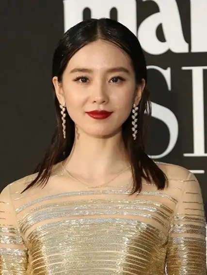 刘诗诗中分齐肩直发发型图片