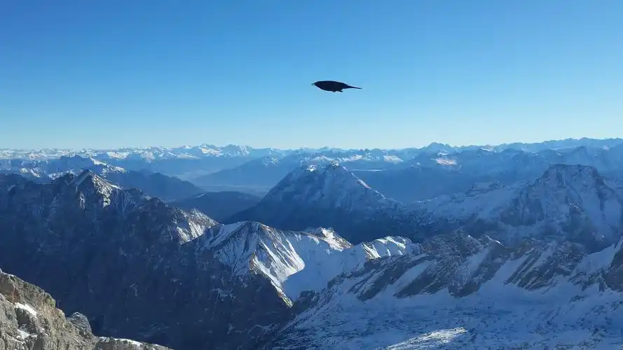 王好听女孩子的名字大全 男孩子杨姓取名两个字