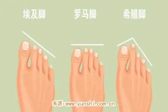 什么样的脚相命运好