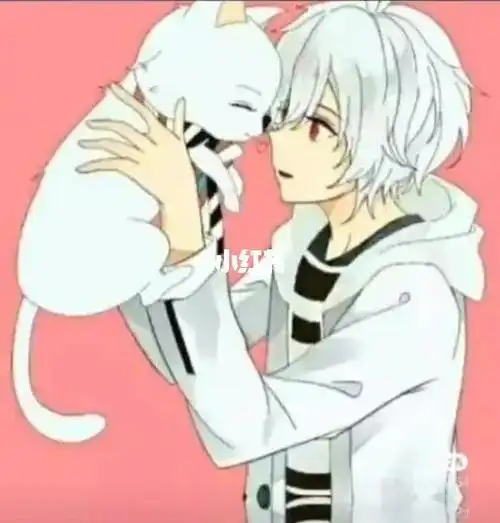 虚拟202)第五张是null零值(黑暗君主)第六张是ceris(末影女王)第七张