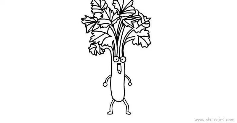 芹菜简笔画画法图解