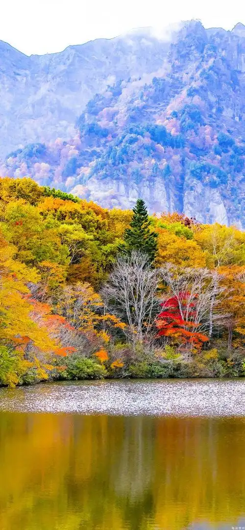 多彩壁纸640期|秋天风景高清壁纸 愿看风景的你都有美好心情