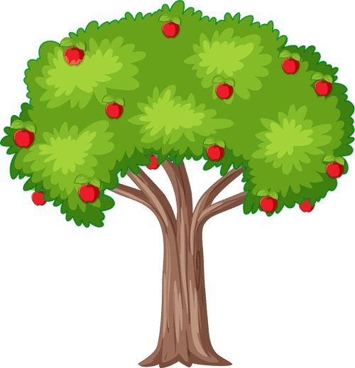 apple tree on white background