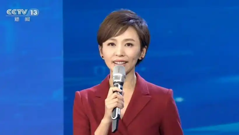 央视的荧幕上再也见不到欧阳夏丹的身影,新闻联播的女主播位置也由宝