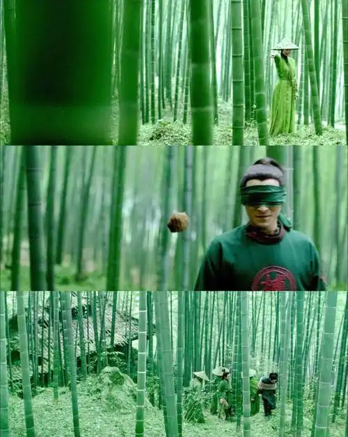 《十面埋伏》是一部由张艺谋执导的武侠电影,主要讲述了章子怡饰演的