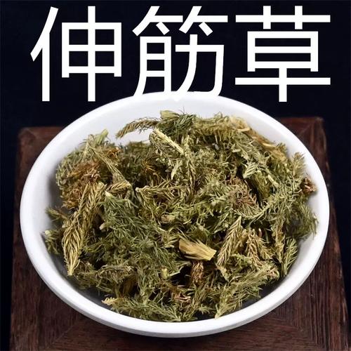 伸筋草 500g克 散装筋骨草舒筋草通筋草另有远志非野生中药材