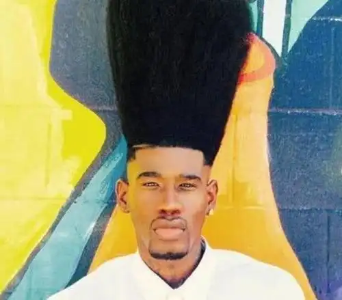 发型|吉尼斯世界纪录|扫把头_新浪新闻