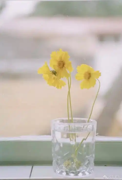 活在当下,才是生活最好的样子