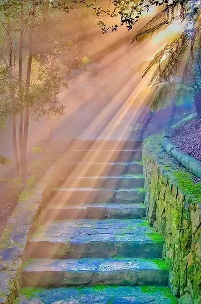 [图阳光]阳光倾泻而下,给阳光一个满满的拥抱 - 治愈系图片 - 流年