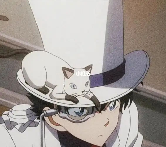 基德对猫是真爱