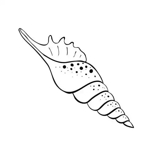 海螺简笔画,小海螺简笔画-图片大观-奇异网