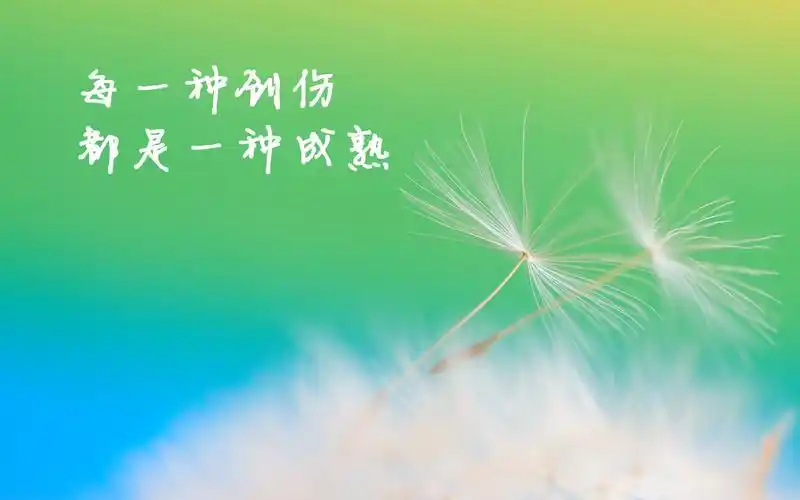 首页 桌面壁纸 个性简约奋斗宽屏壁纸上一张下一张查看原图