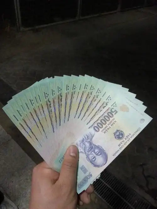 2015新年之越南越美