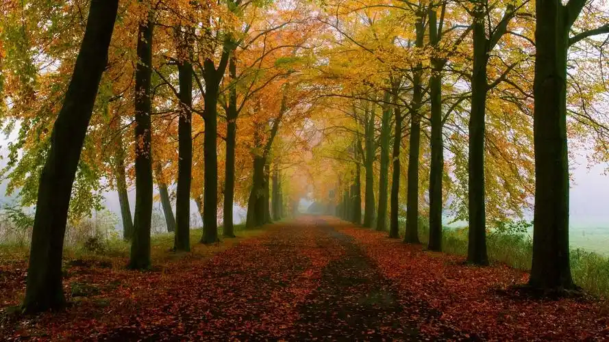 唯美秋天自然风景桌面壁纸 第二辑