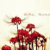 qq网名 关于花的qq个性签名 网名 头像,你耐吗? 彼岸花: 头