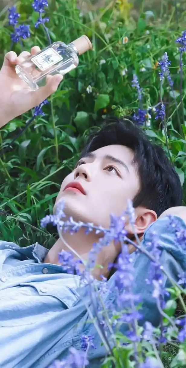 肖战高清壁纸头像(五十六)[打call]