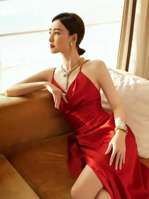 王丽坤这几张照片真的太好看