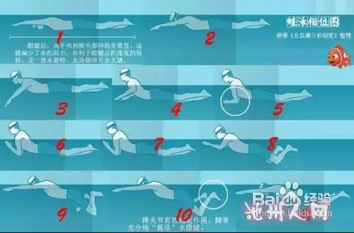 蛙泳换气技巧要如何学会掌握