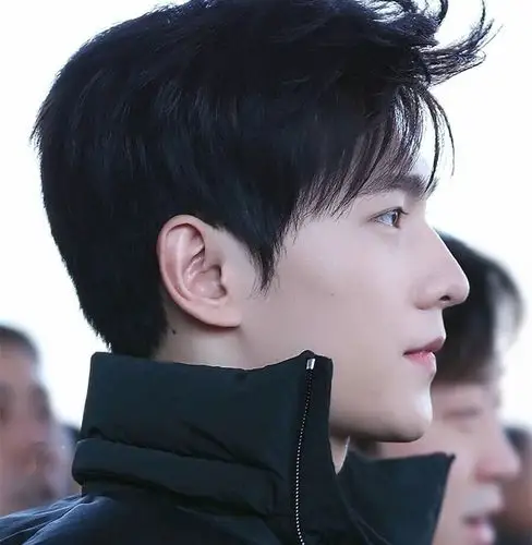 当红男神侧脸杨洋鼻梁最挺拔朱一龙最精致而吴磊竟是小猪鼻