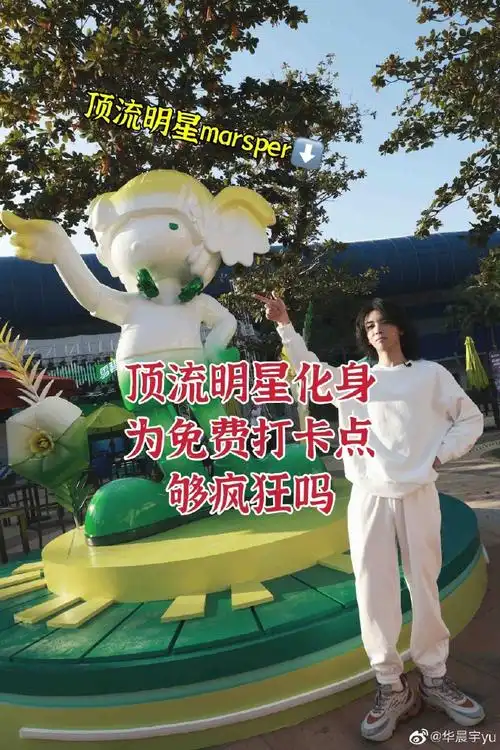 华晨宇方晒应援棒外观设计专利证书##华晨宇应援棒##华晨宇 应援棒