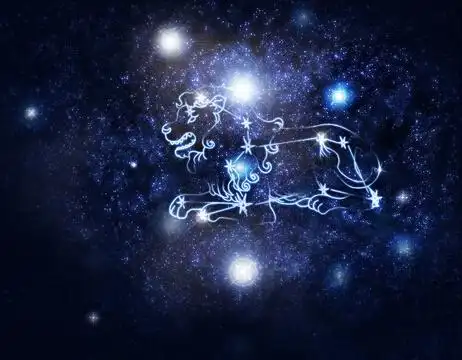 上升星座狮子座的人