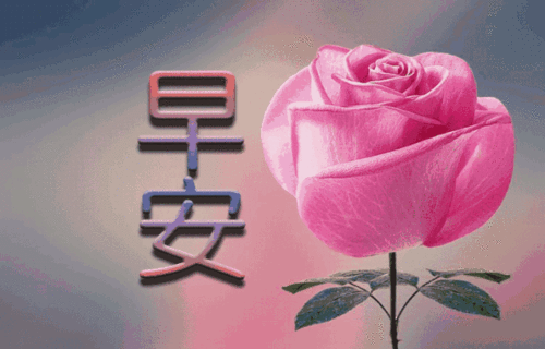 2018最新早安问候动态表情图片带字,最美早上好问候语图片带字!